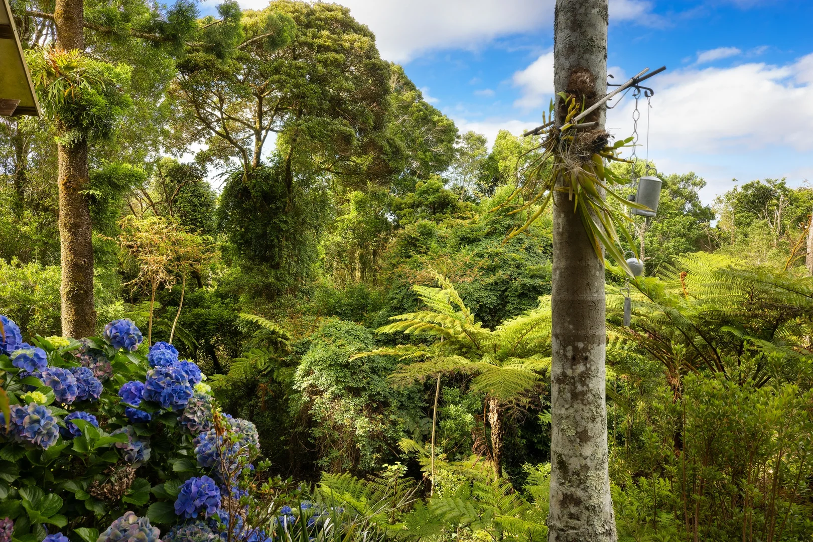 Additional image 38 of 162 Repeater Station Road, Springbrook QLD 4213
