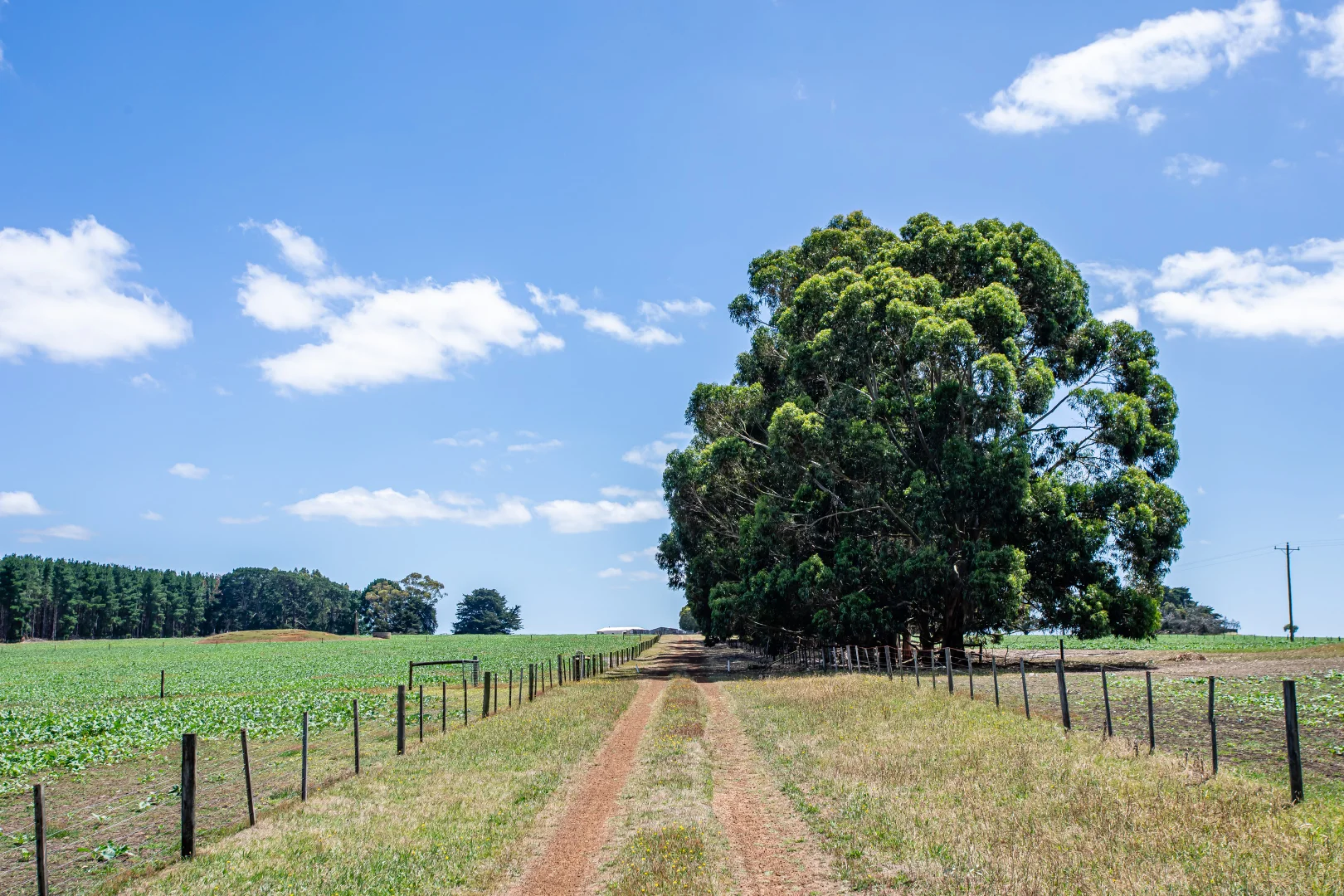 Additional image 26 of 93 The Bluff Road, Casterton VIC 3311