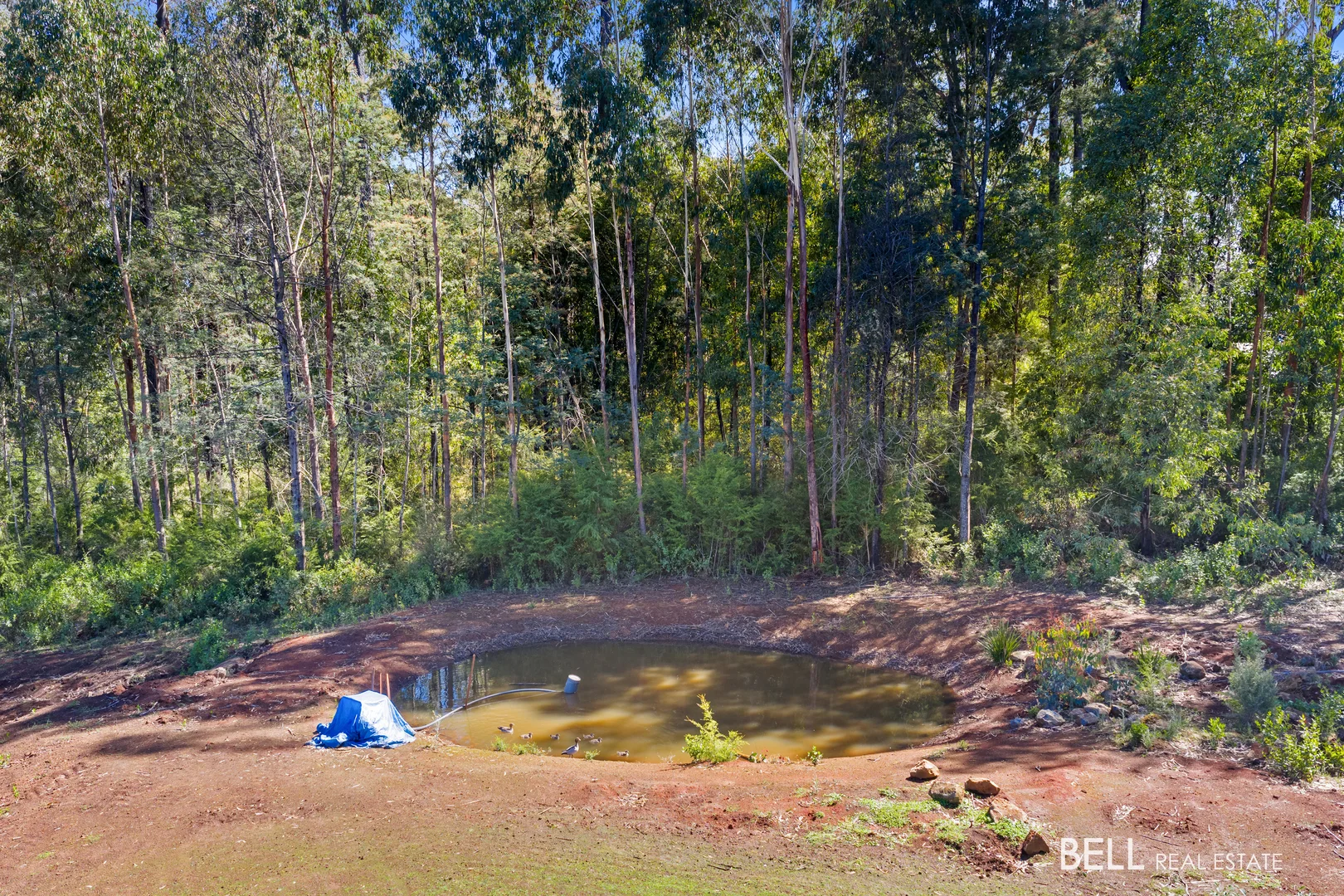 Additional image 24 of 595 Thonemans Road, Hoddles Creek VIC 3139