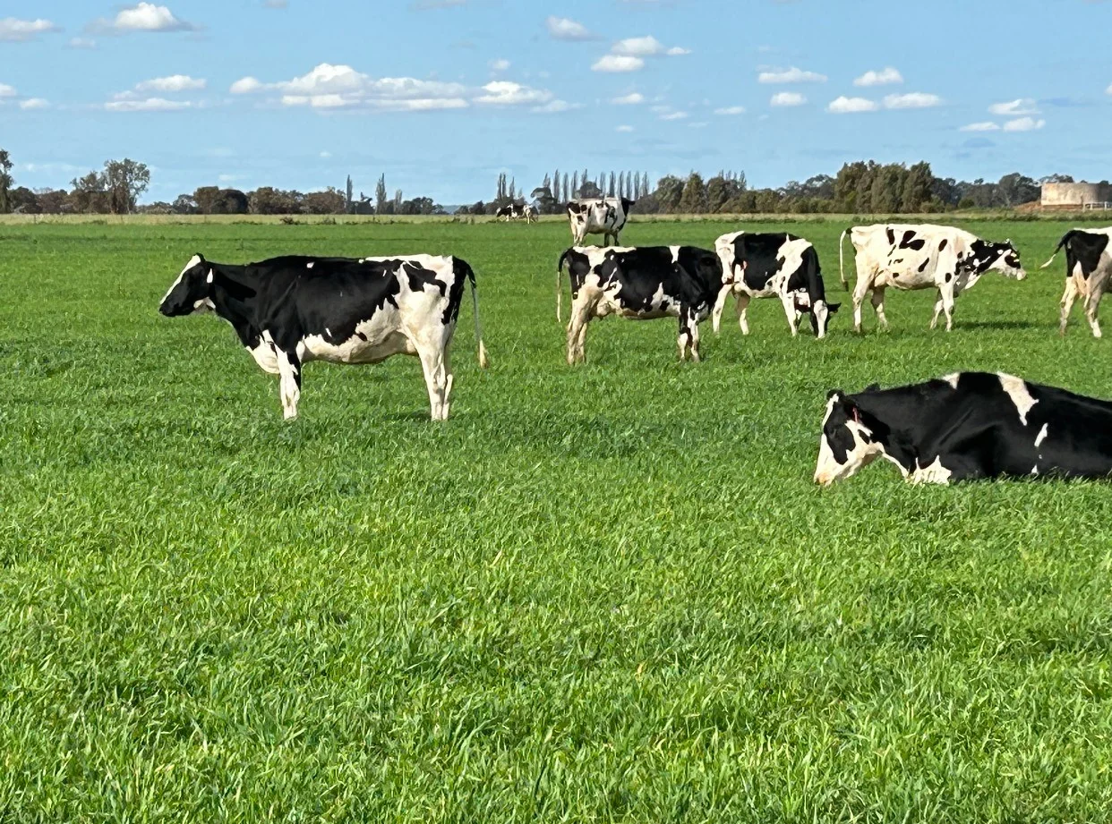 Additional image 38 of 229 Elliots Lane, Forbes NSW 2871