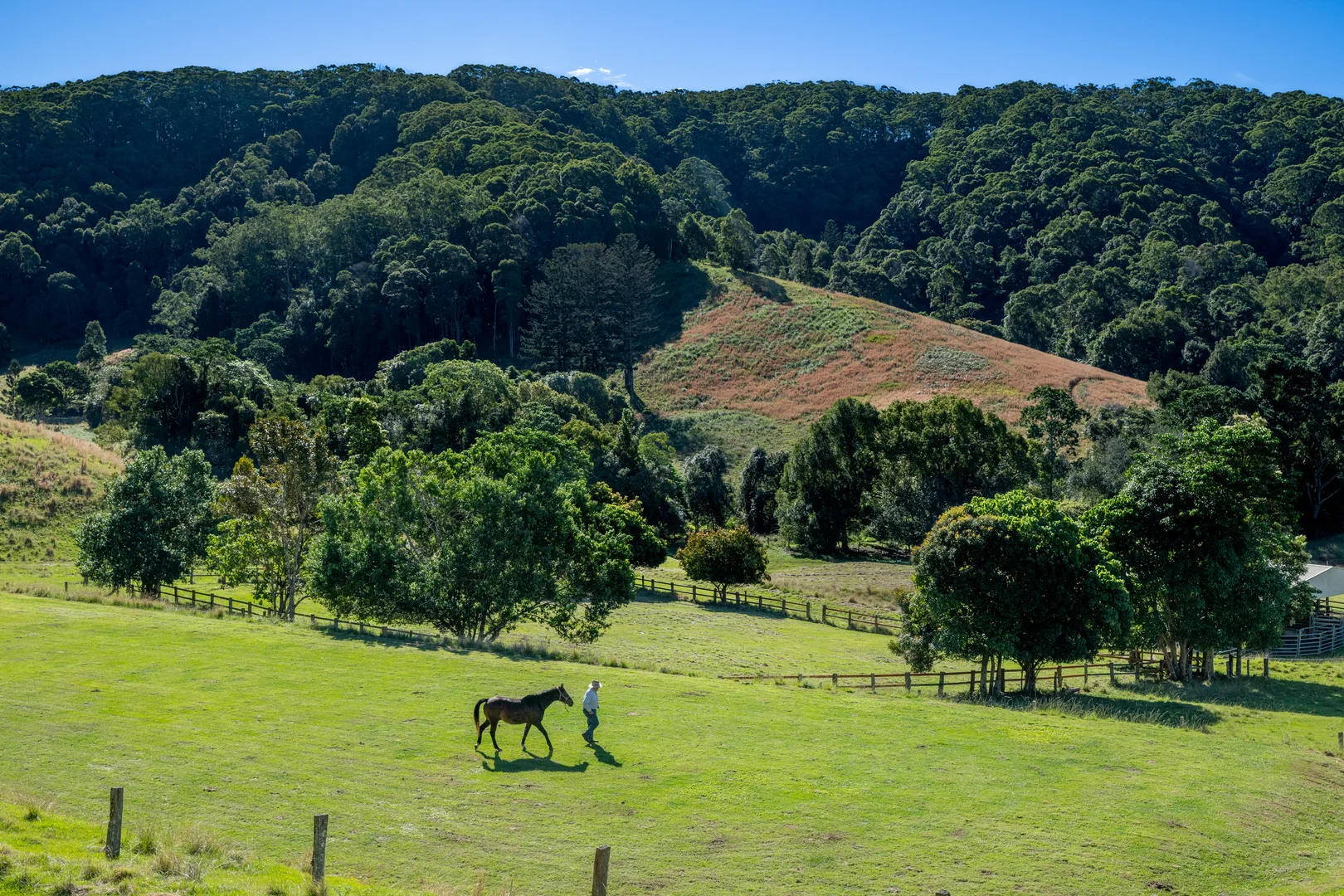 Additional image 56 of Sleepy Hollow NSW 2483