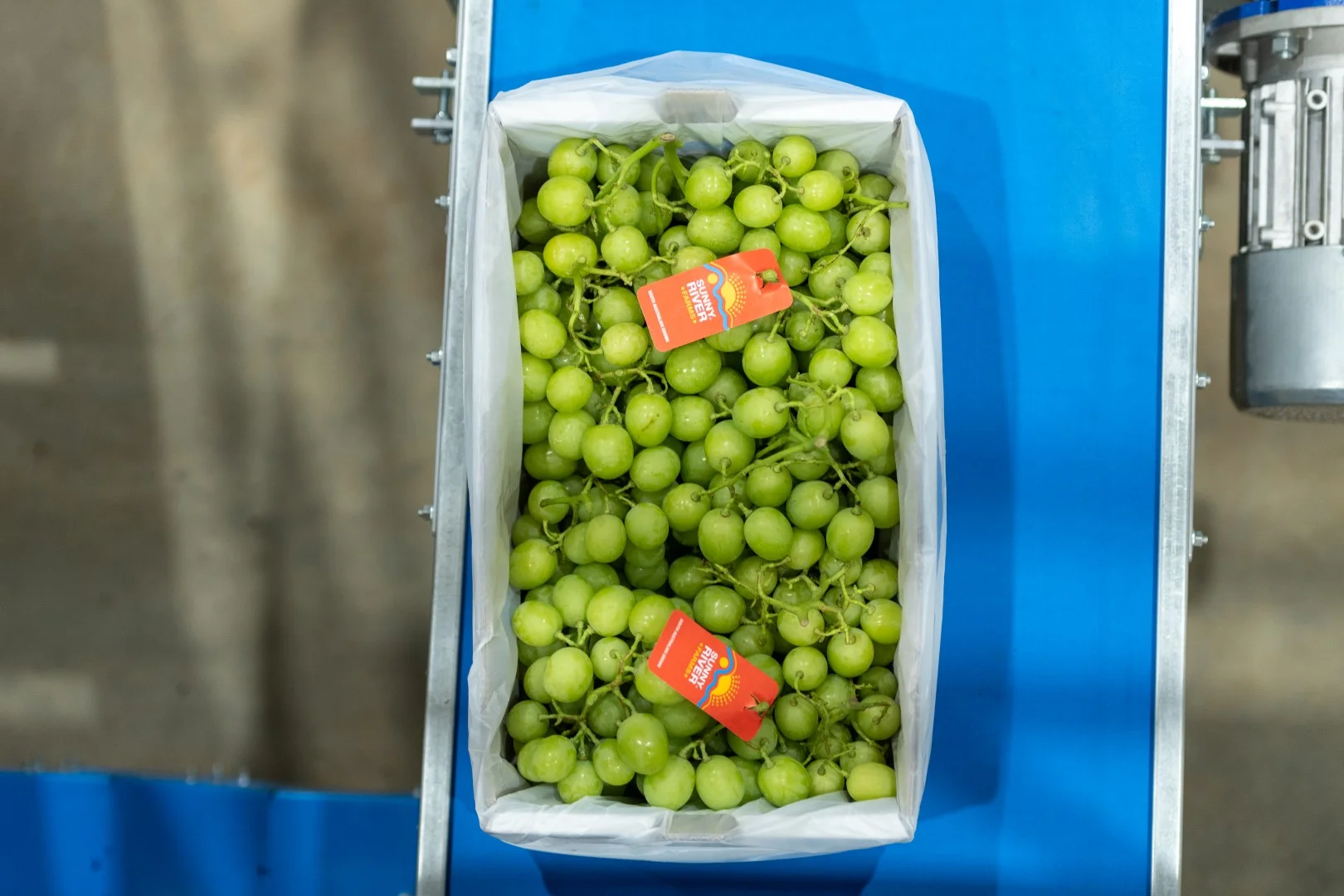 Additional image 10 of 1251 Stanitzki Road, Pike River SA 5340