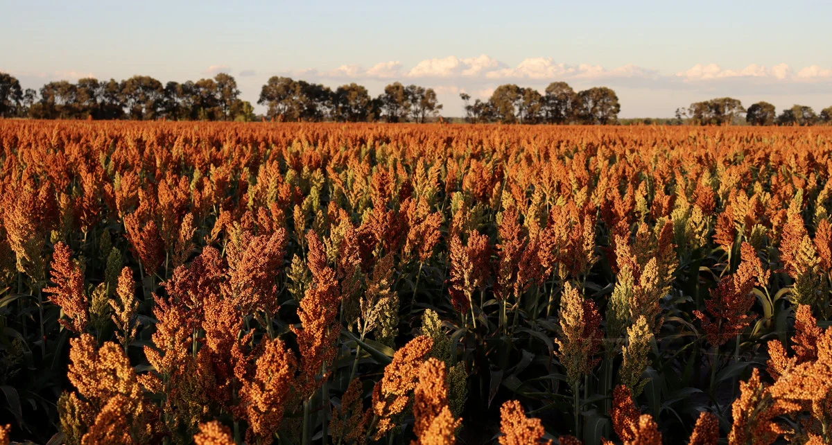 Additional image 4 of 19 - 'Kelinda'/1411 Moura-Bindaree Road, Moura QLD 4718