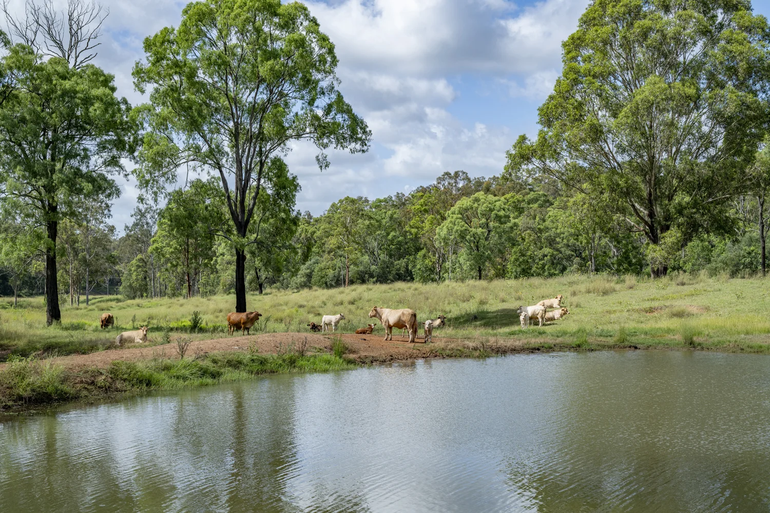Additional image 5 of Goomeribong QLD 4601