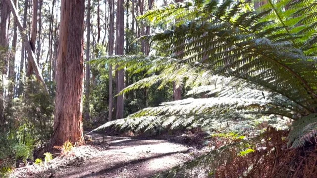 Additional image 9 of Lot 2 Lookout Road, Port Arthur TAS 7182