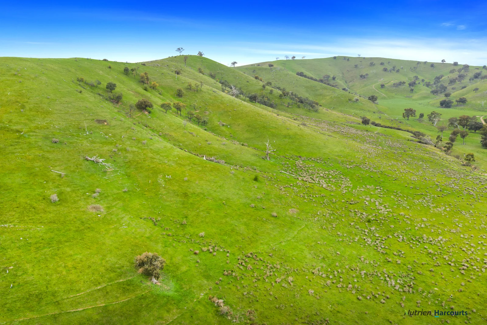 Additional image 22 of 53 Halls Outlet Road, Alexandra VIC 3714