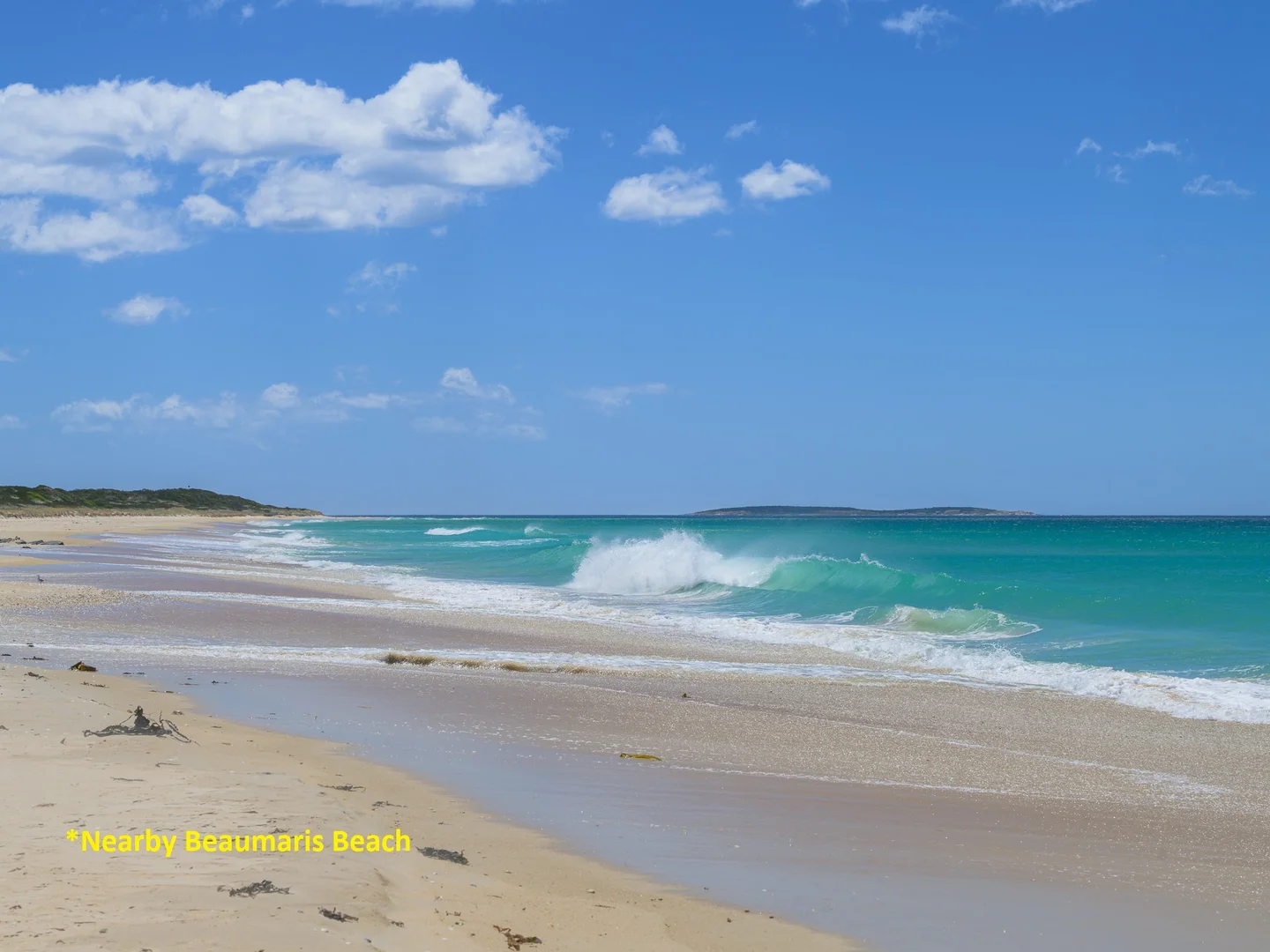 Additional image 35 of 313-315 Tasman Highway, Beaumaris TAS 7215