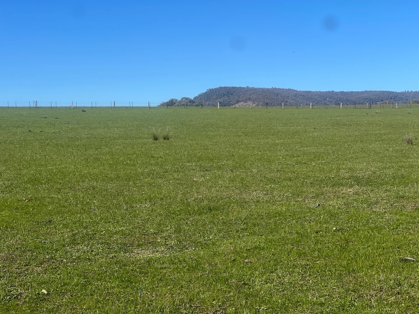 Additional image 24 of Cheesley Gate Road, Indigo Valley VIC 3688