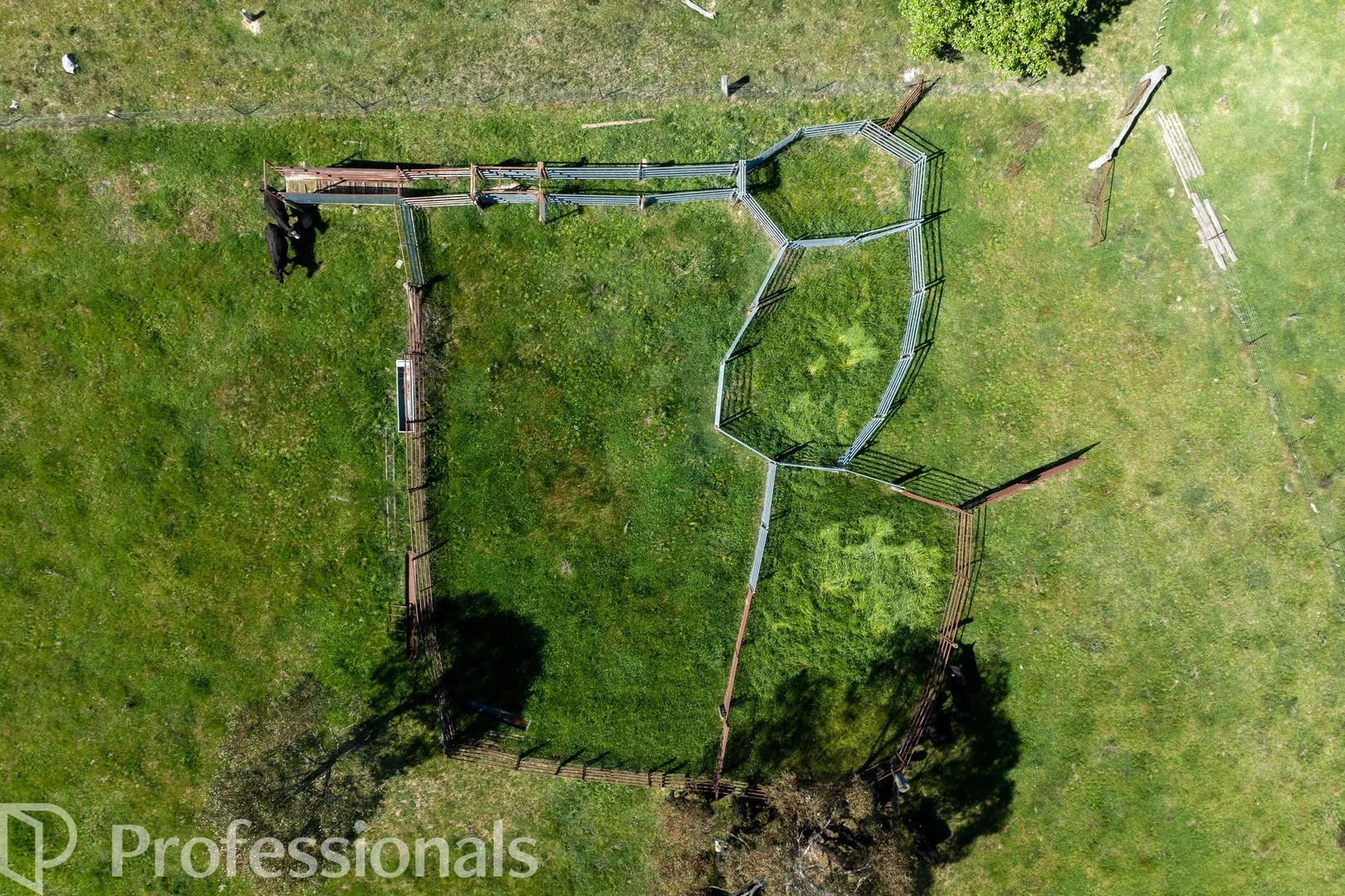 Additional image 41 of 225 Emu Swamp Road, Orange NSW 2800