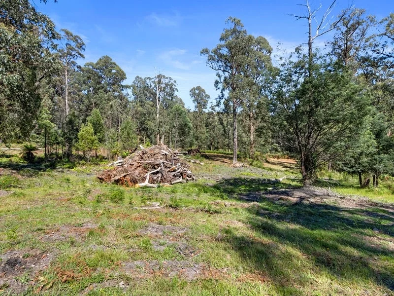 Additional image 7 of 38 Kings Road, Marysville VIC 3779