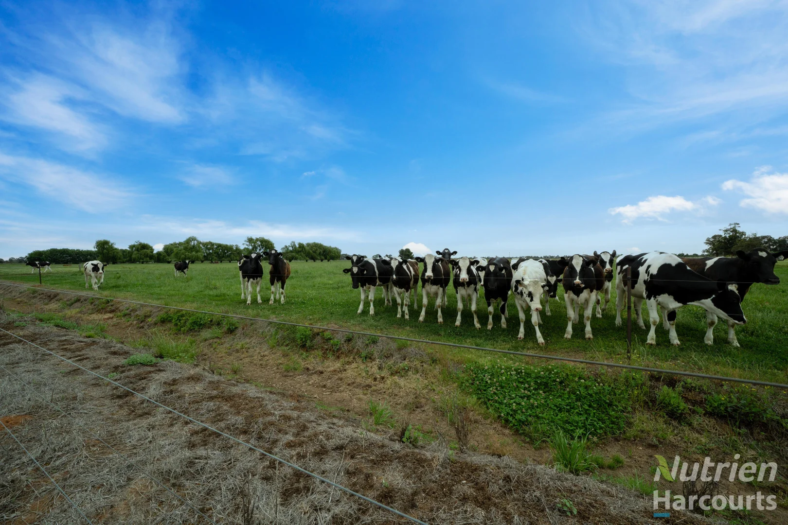 Additional image 5 of 170 Bedford Road, Invergordon VIC 3636