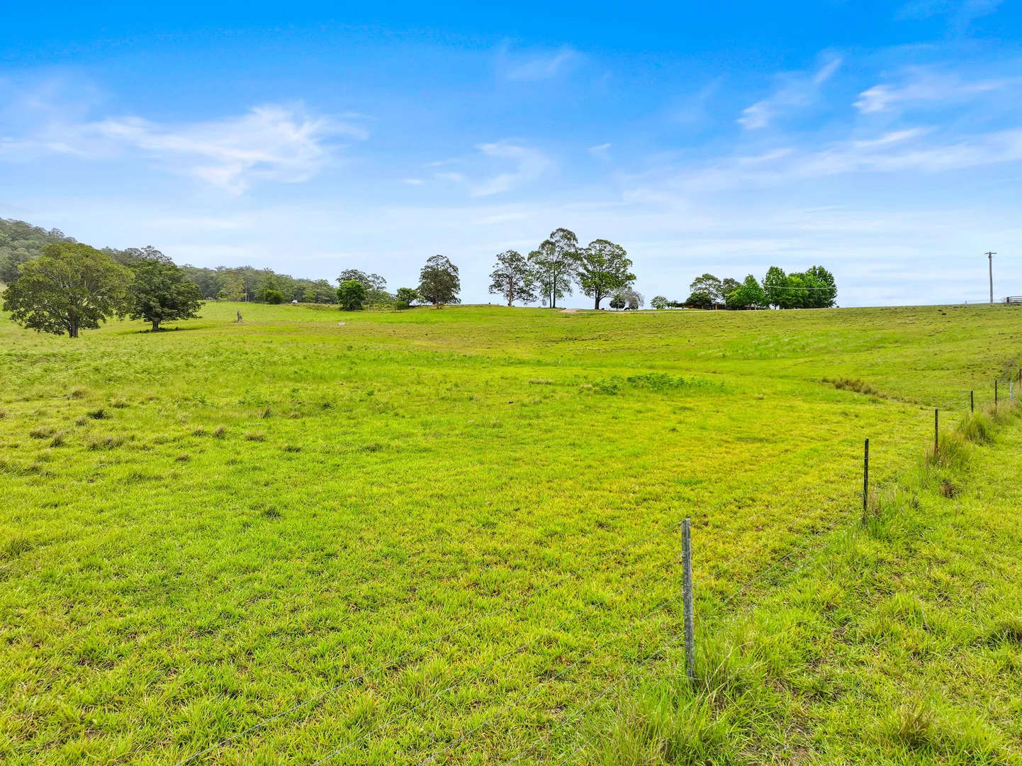 Additional image 17 of 273 Roelands Drive, Brombin NSW 2446