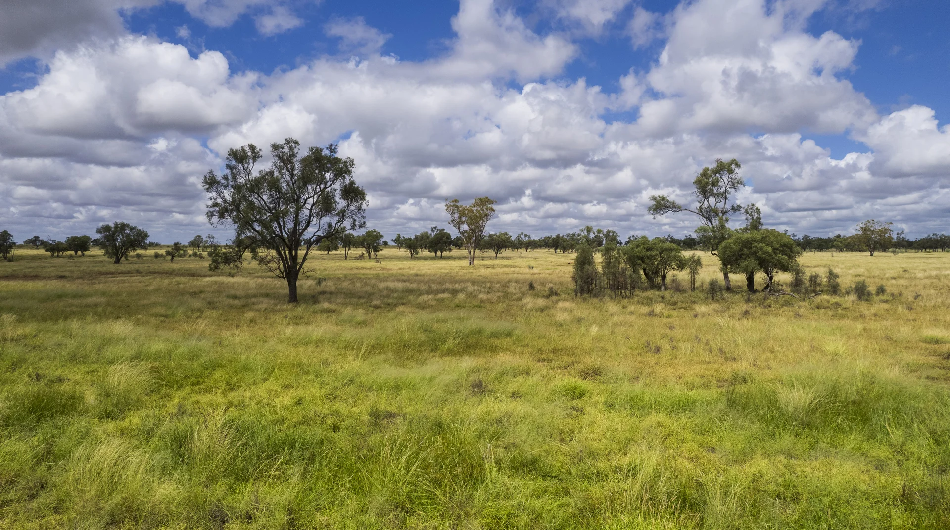 Additional image 13 of 205 Redbank Road, Roma QLD 4455