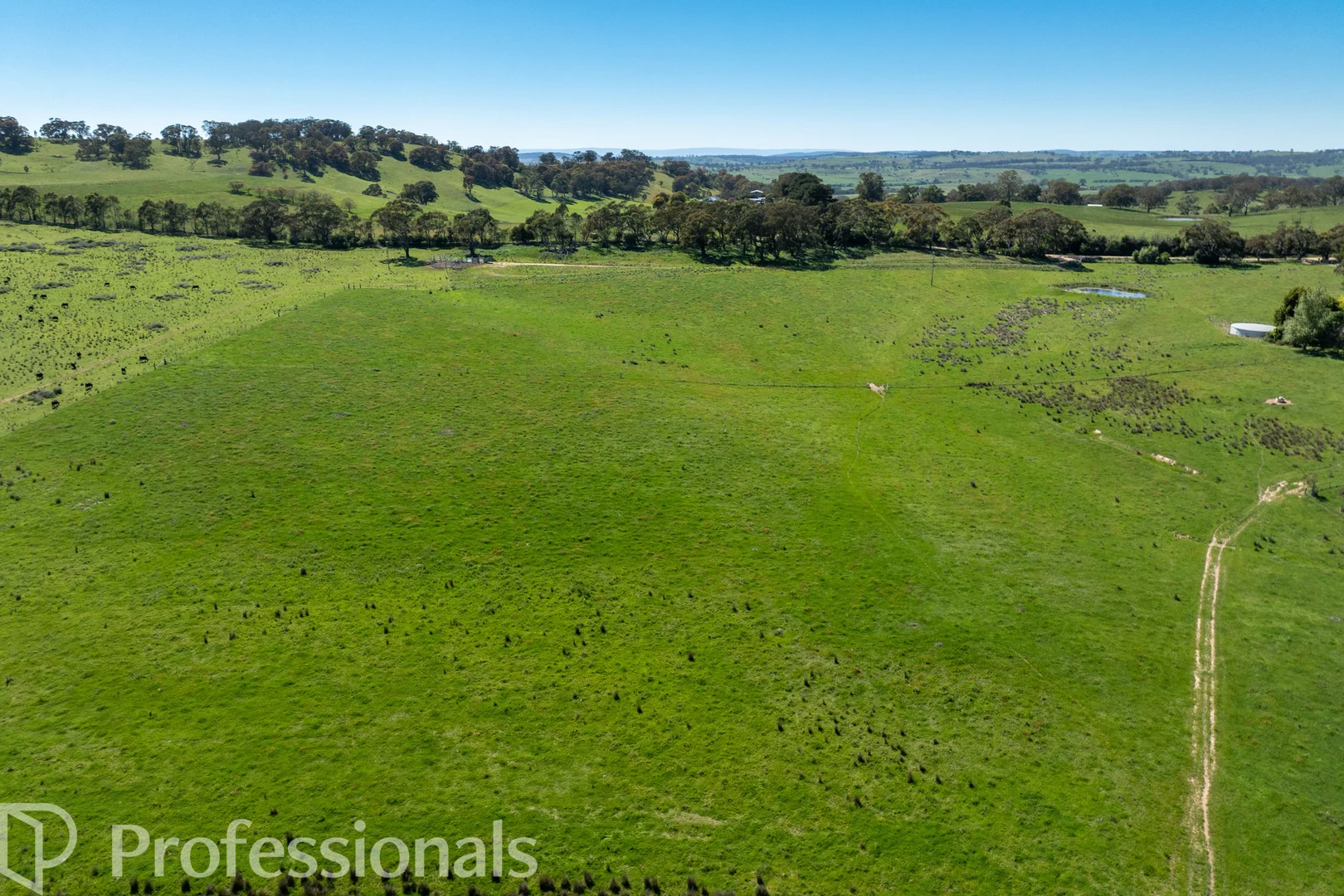 Additional image 38 of 225 Emu Swamp Road, Orange NSW 2800