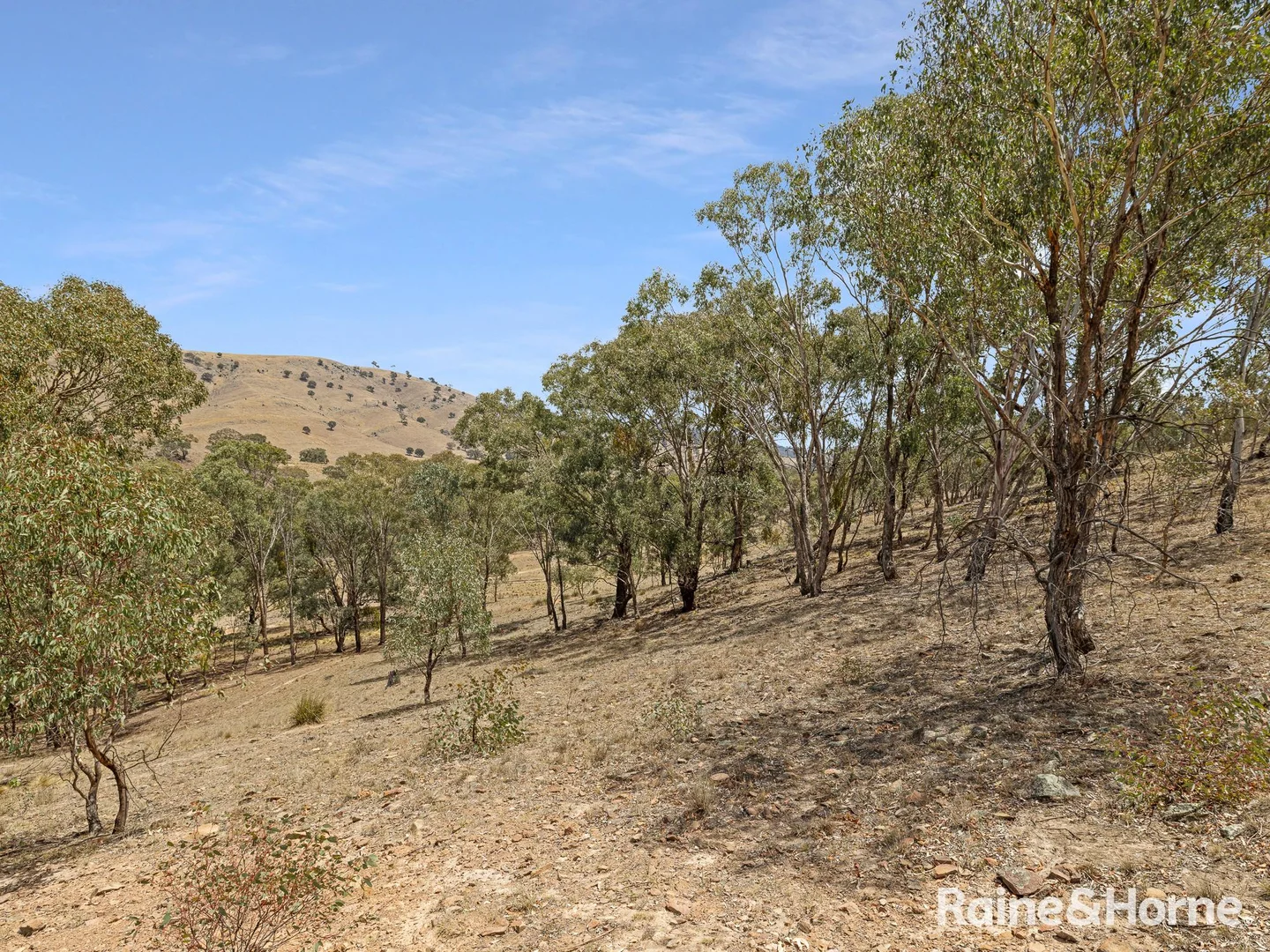 Additional image 7 of 3015 Turondale Road, Turondale NSW 2795