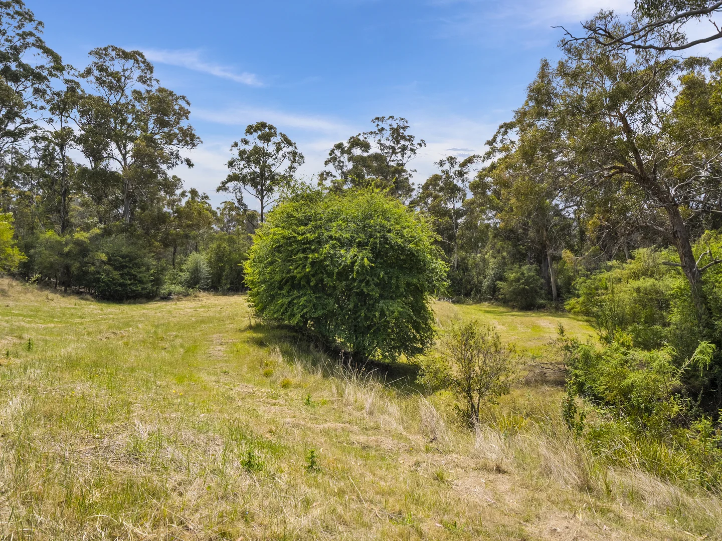 Additional image 6 of 1 Aldridge Road, Orielton TAS 7172