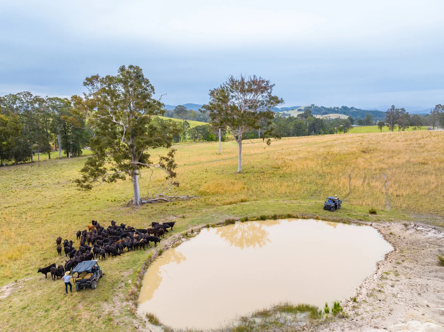 Additional image 7 of 152 Red Gully Road, Burrell Creek NSW 2429