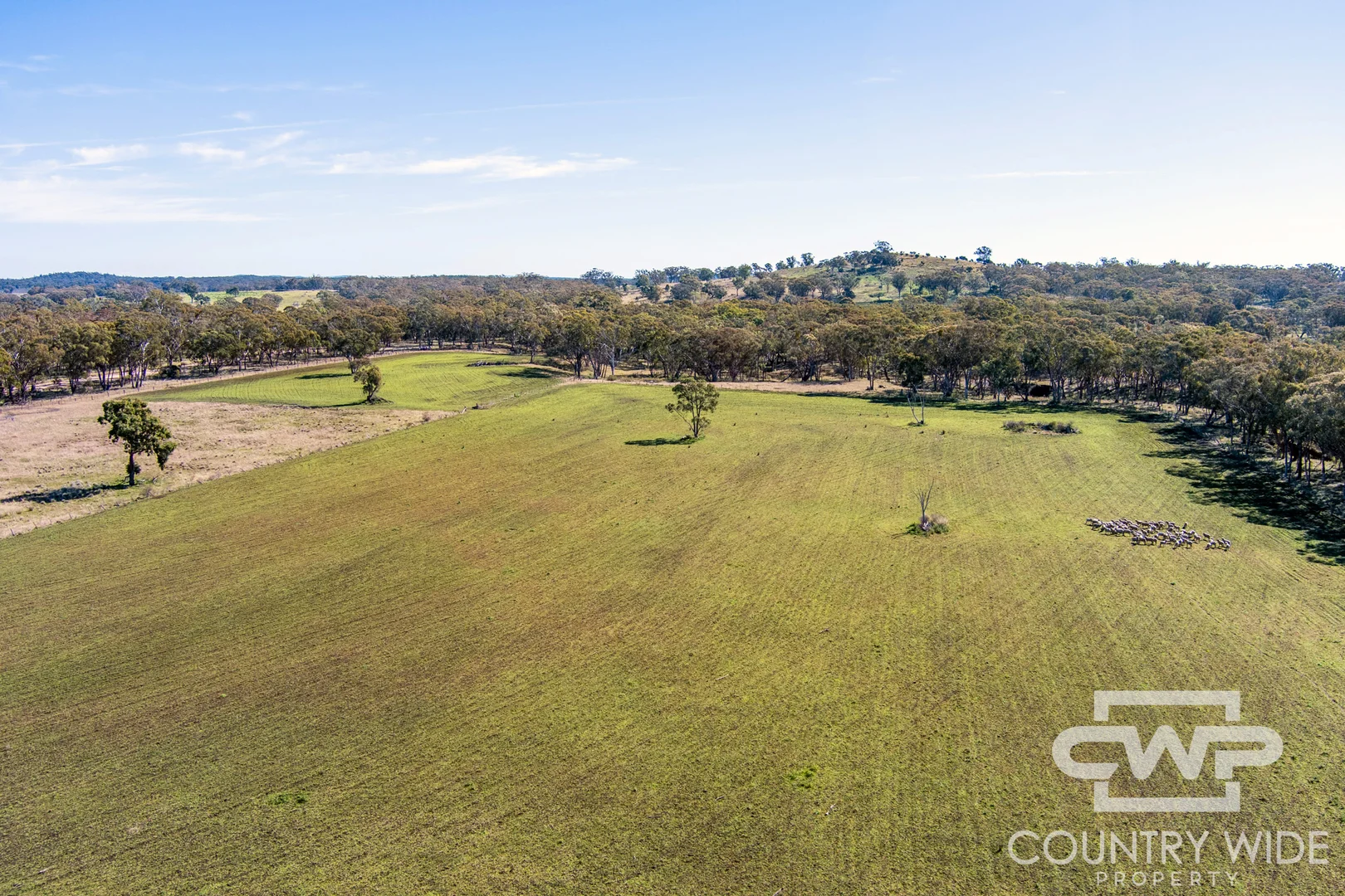 Additional image 3 of 8, - Emmaville Road, Emmaville NSW 2371