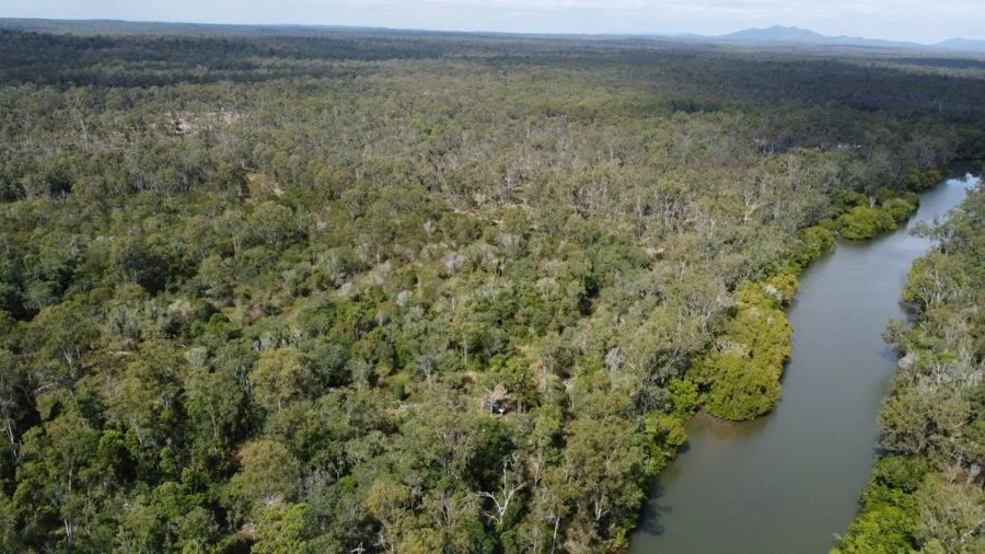 Additional image 17 of 310 MOLLENHAGENS ROAD, Winfield QLD 4670