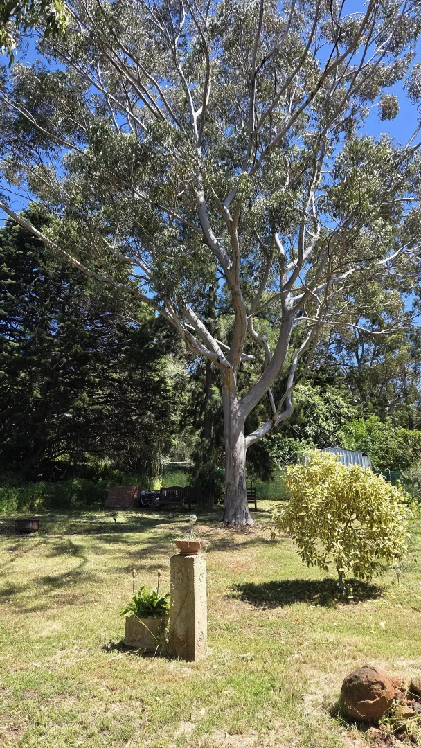 Additional image 35 of 11 Saw Drive, Darlington WA 6070