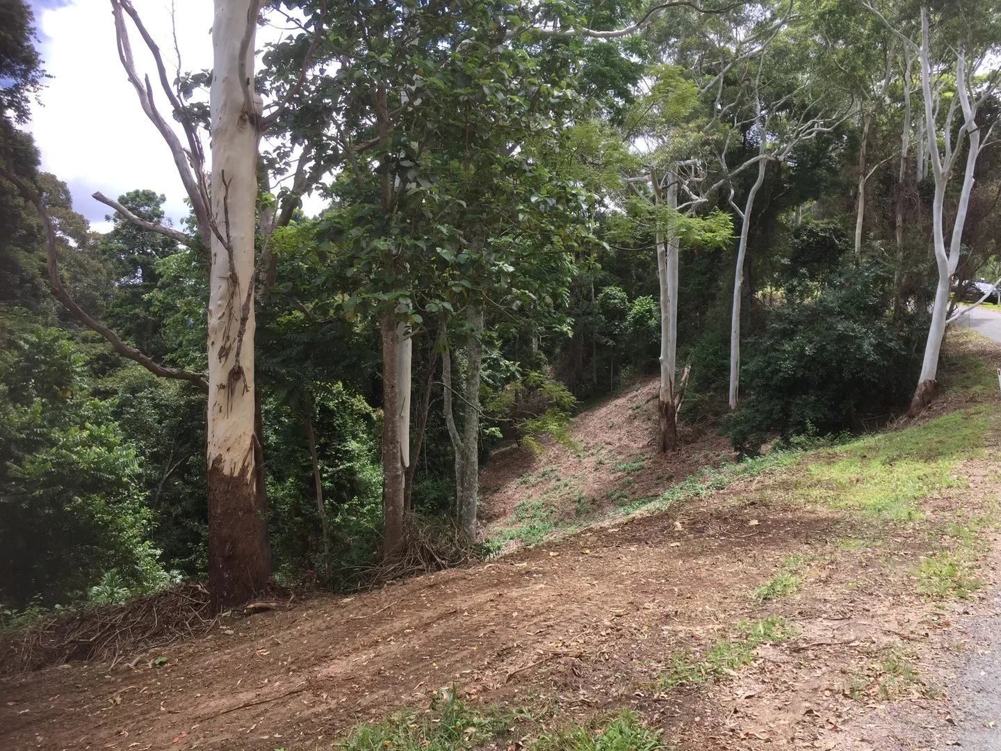 Additional image 5 of 156 Freds Road, Mount Pleasant QLD 4521