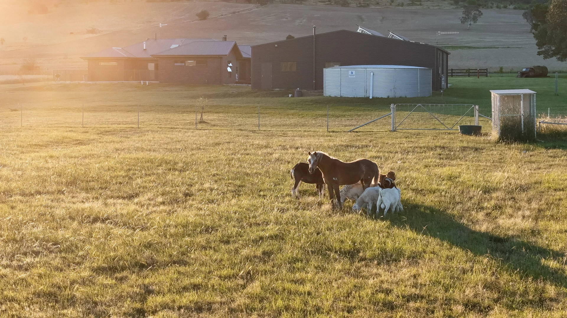 Additional image 39 of 29 Mathews Lane, Bungendore NSW 2621
