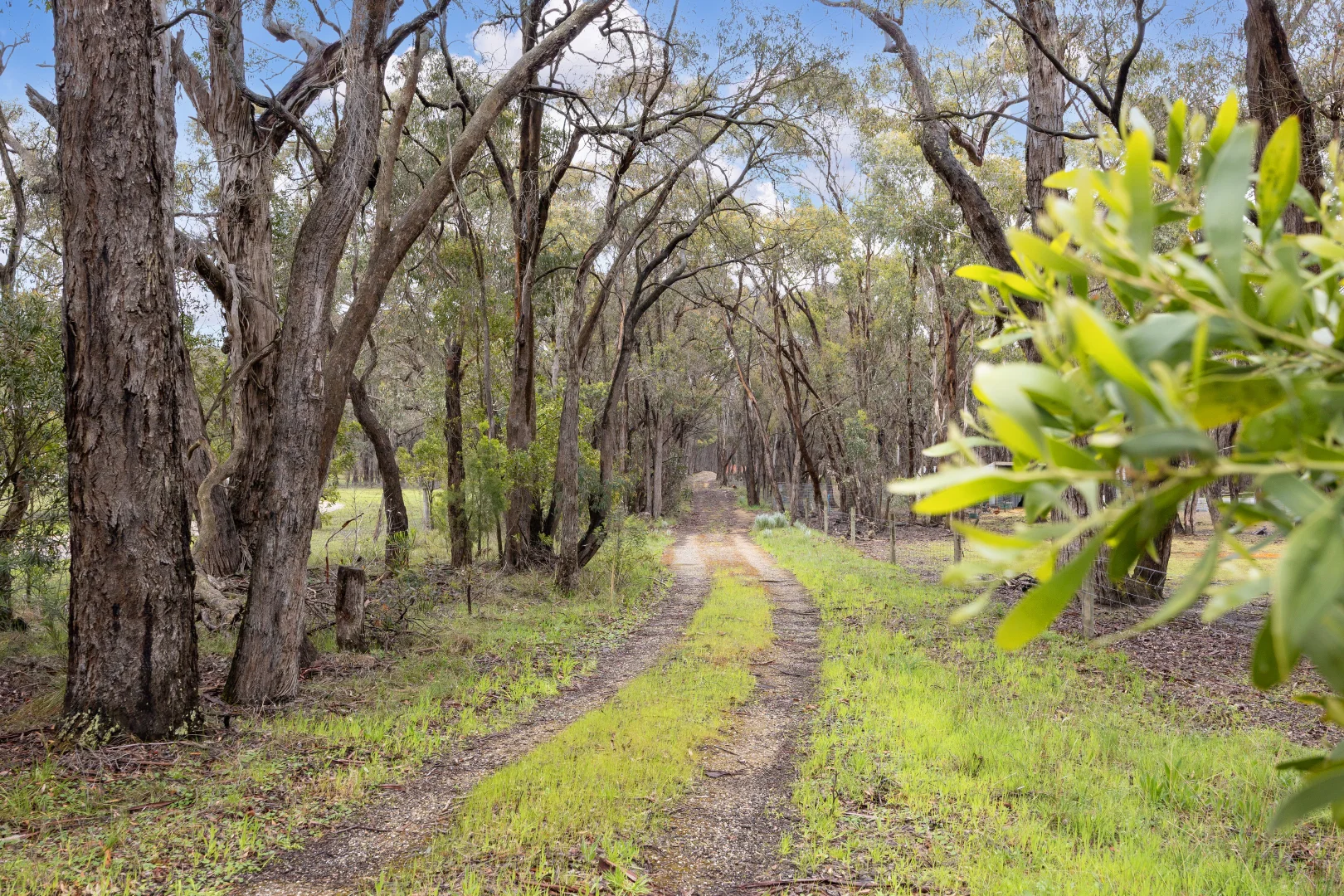 Additional image 4 of 234 Post Office Road, Smythes Creek VIC 3351
