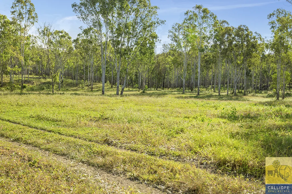Additional image 28 of 400 Wildman Road, Iveragh QLD 4680
