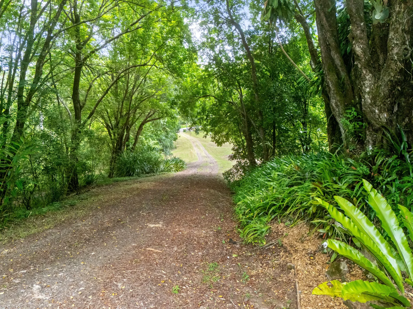 Additional image 28 of 346 The Channon Road, The Channon NSW 2480