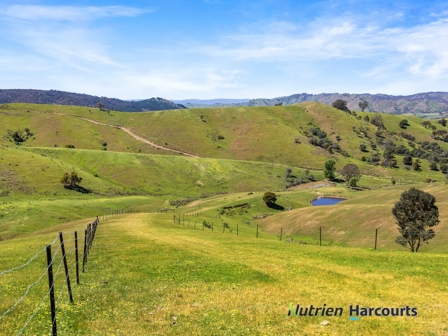 Additional image 5 of 356 Mcnallys Road, Strath Creek VIC 3658