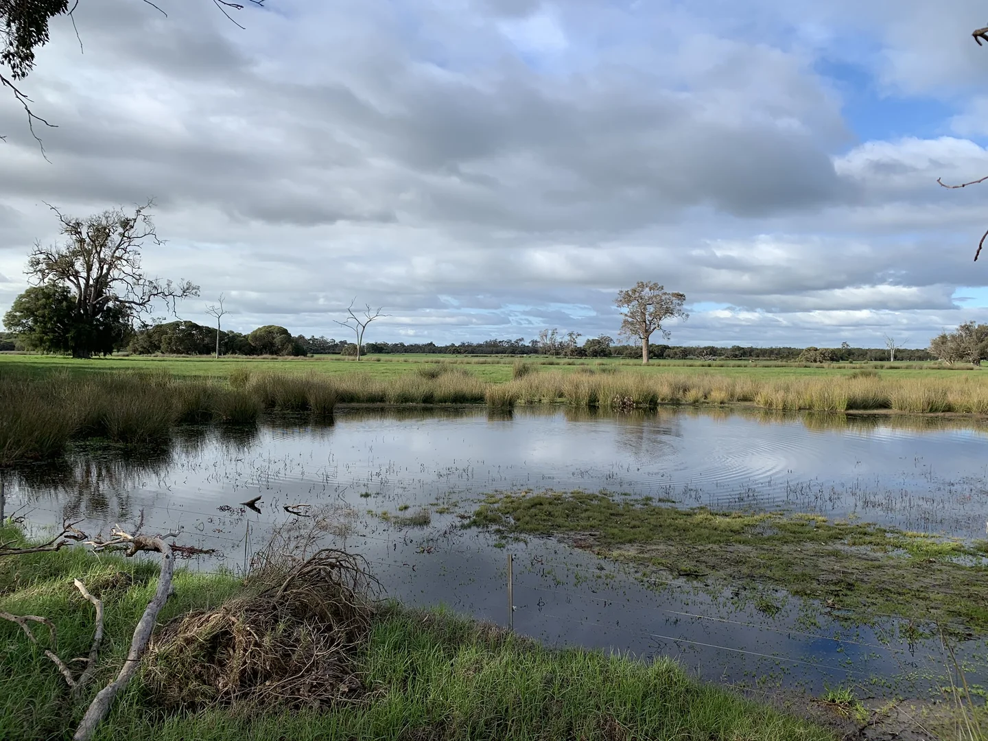 Additional image 7 of Lot 1 Jilley Road, Boyanup WA 6237