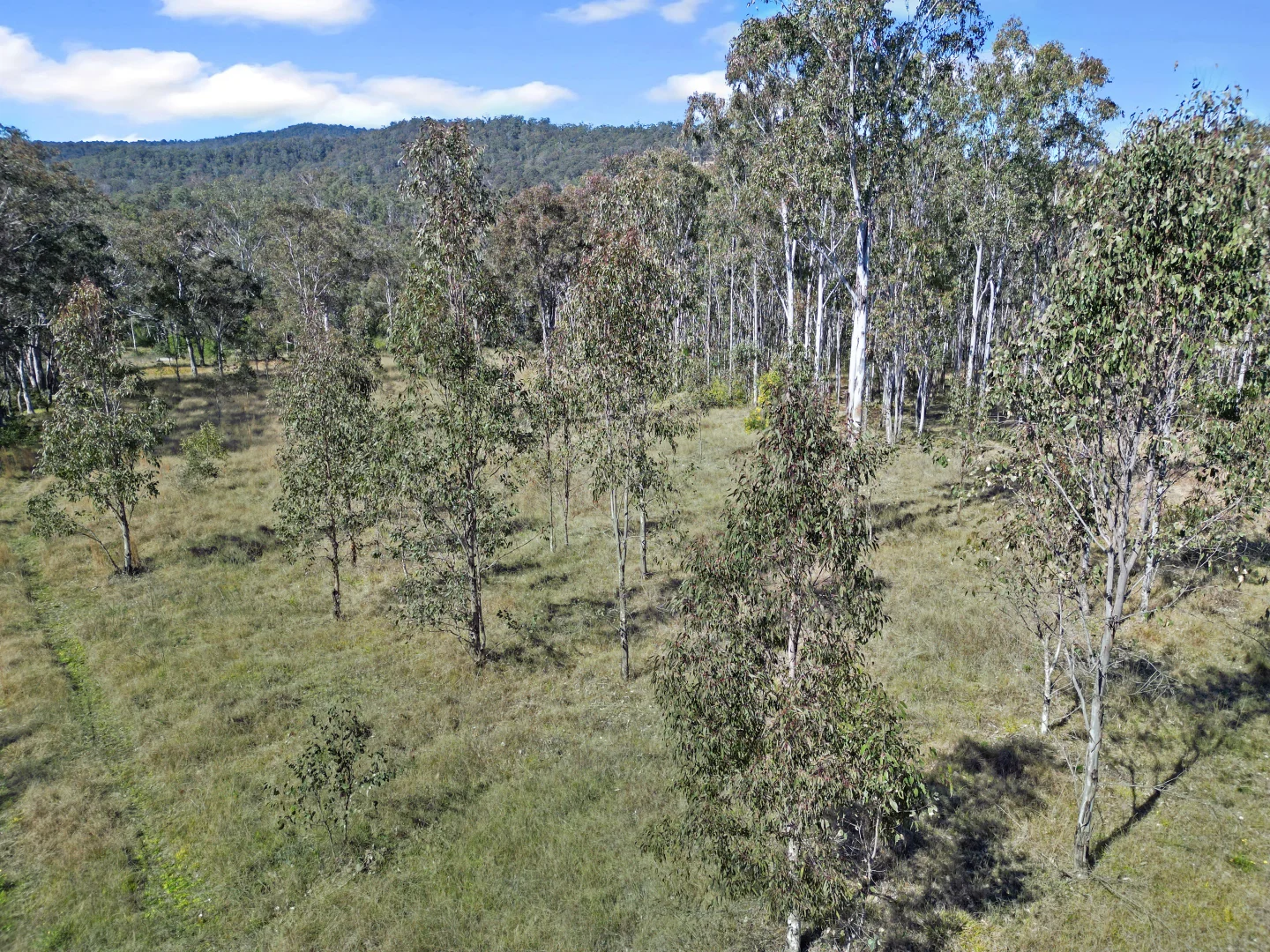 Additional image 13 of Lot 201 Paddys Flat Road, Tooloom NSW 2475