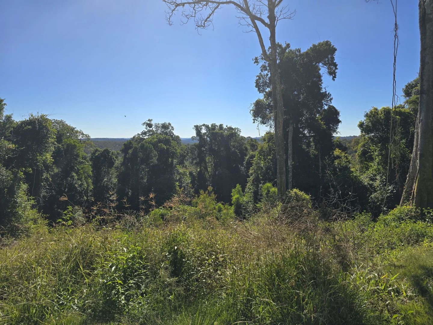 Additional image 4 of 0 SUNDAY CREEK ROAD, Jimna QLD 4515