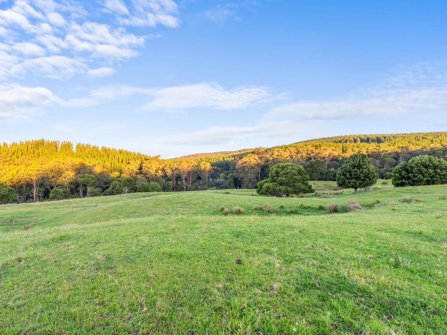 Additional image 29 of 43 Johnsons Lane, Willung South VIC 3847