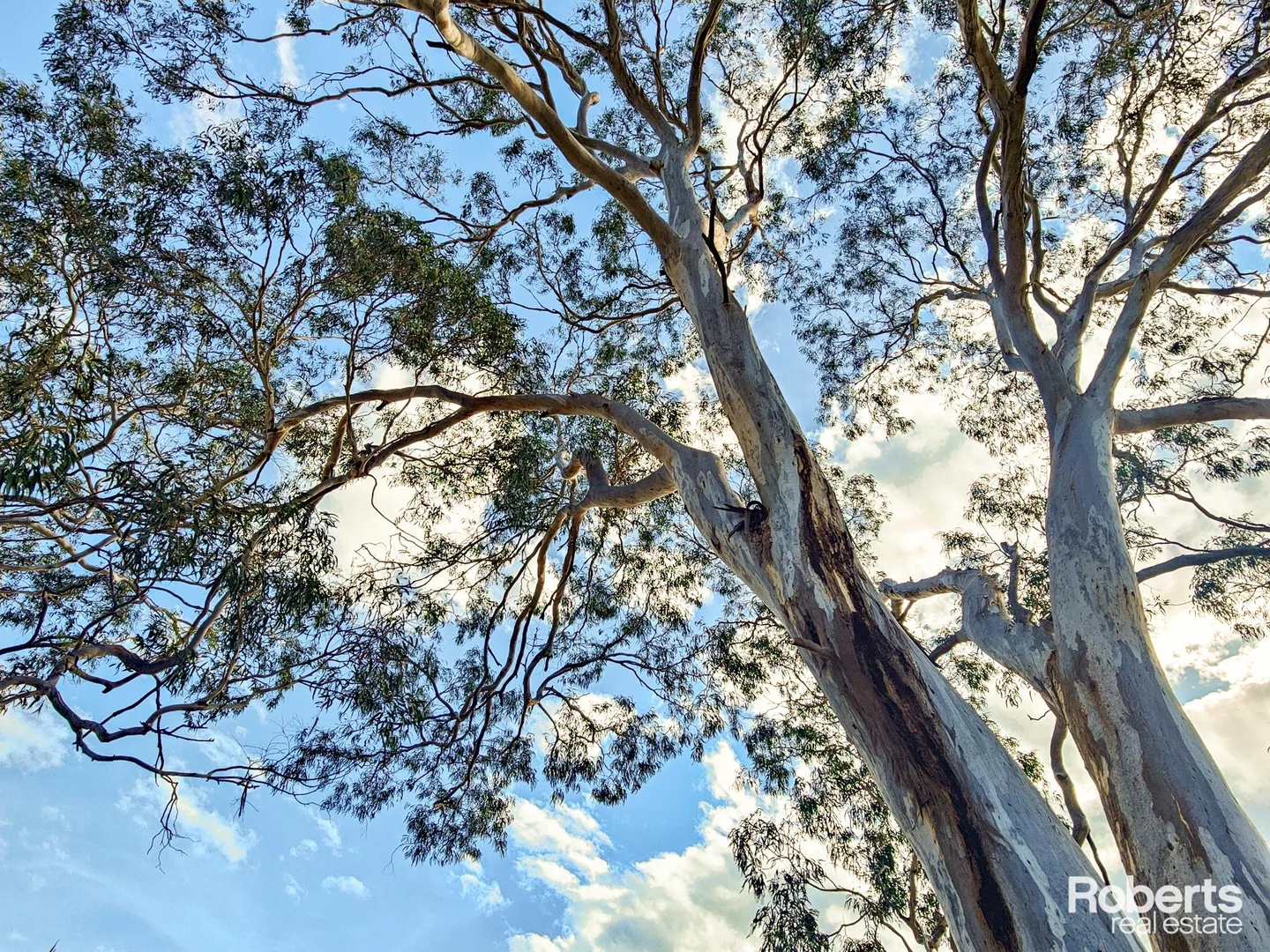 Additional image 5 of Lot 1/213 Cambria Drive, Dolphin Sands TAS 7190