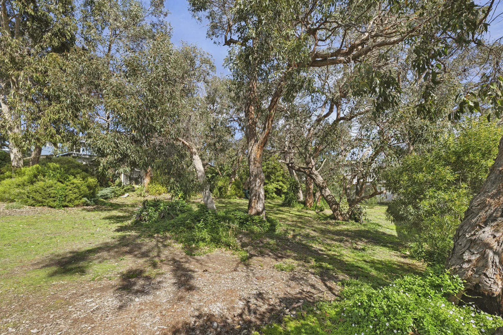Additional image 7 of 71 Fraser Avenue, Anglesea VIC 3230