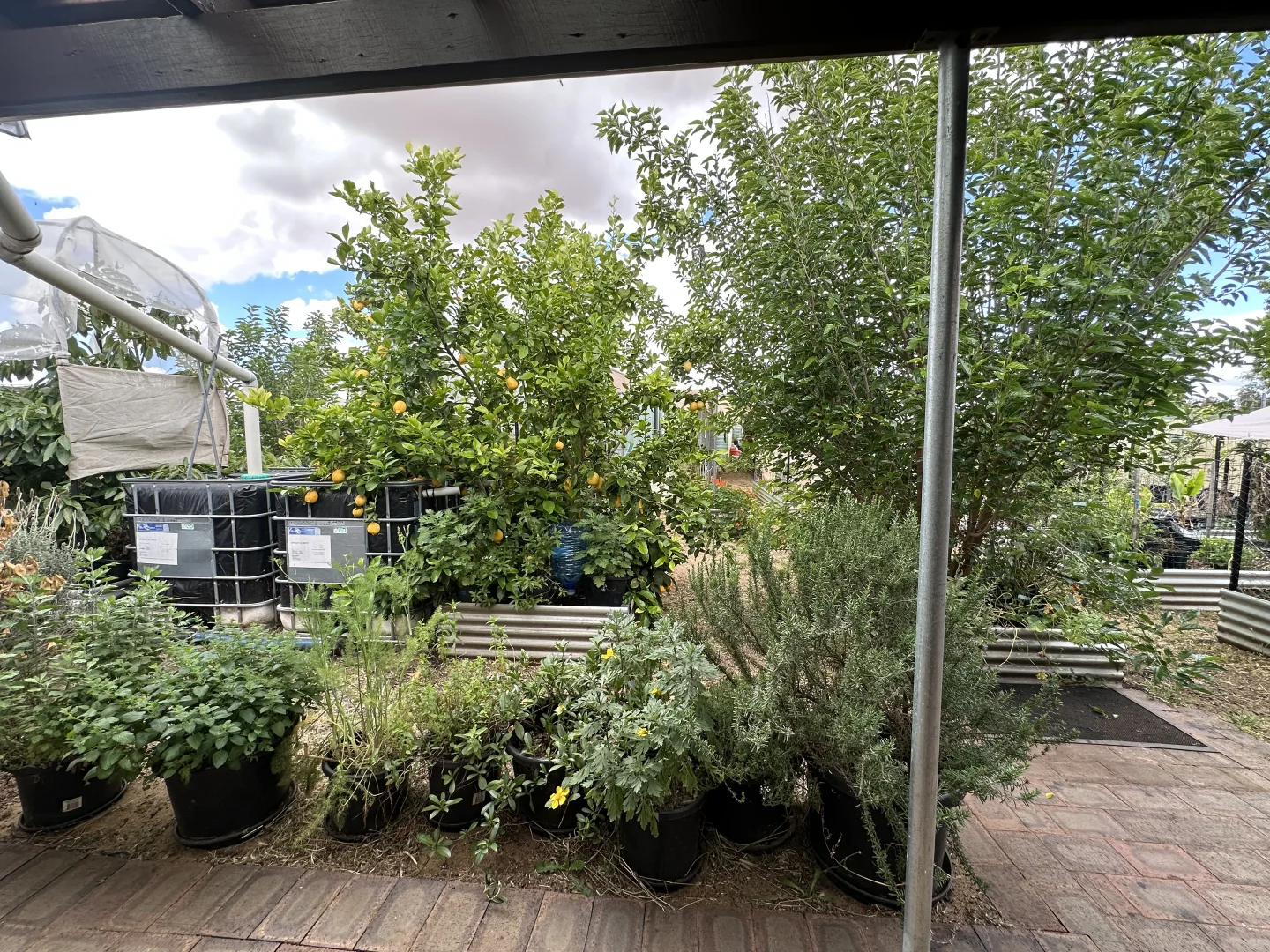 Additional image 21 of 22 Rifle North Street, Wagin WA 6315