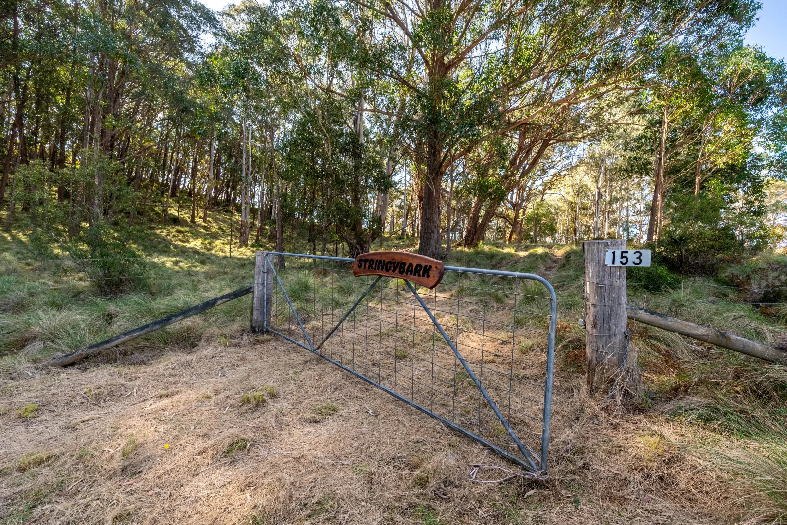 Additional image 32 of 153 Blue Bush Road, Wyanbene NSW 2622