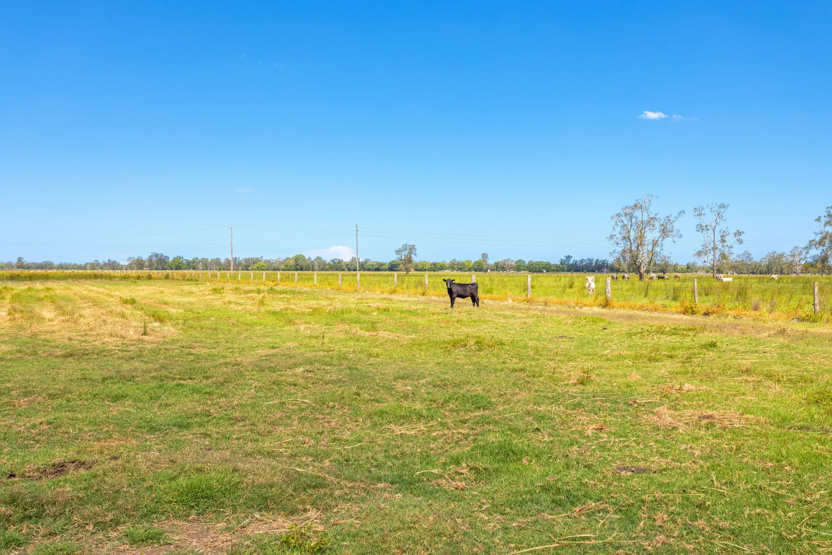 Additional image 27 of 385 Moto Road, Moto NSW 2426