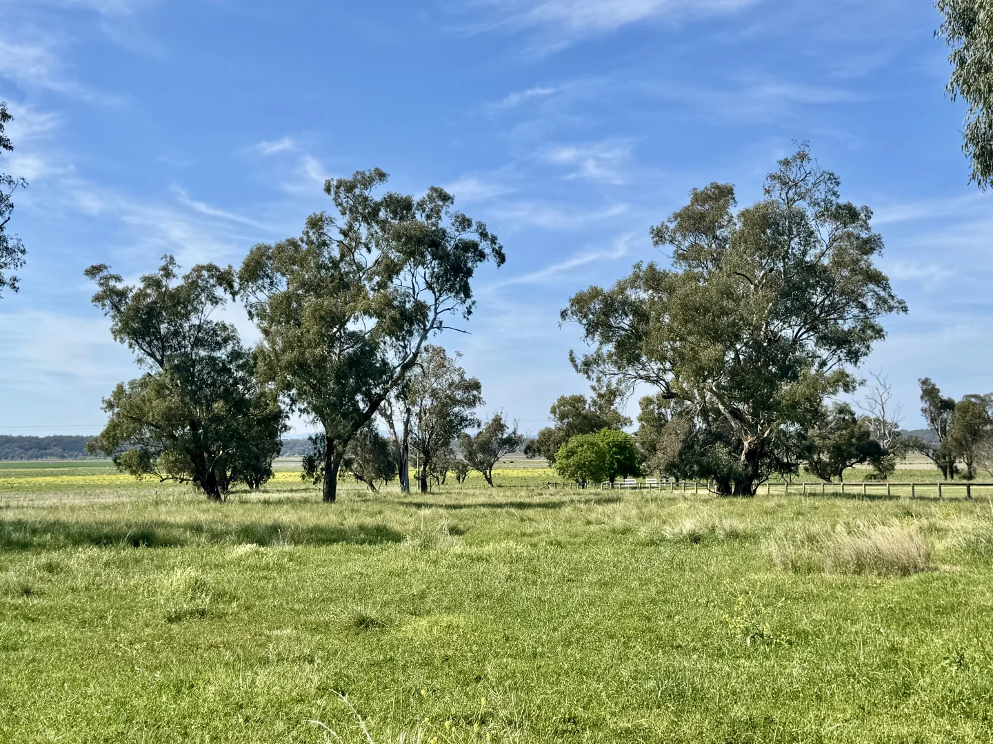 Additional image 12 of "Glenaladale" 167 Mooki Springs Road, Quirindi NSW 2343