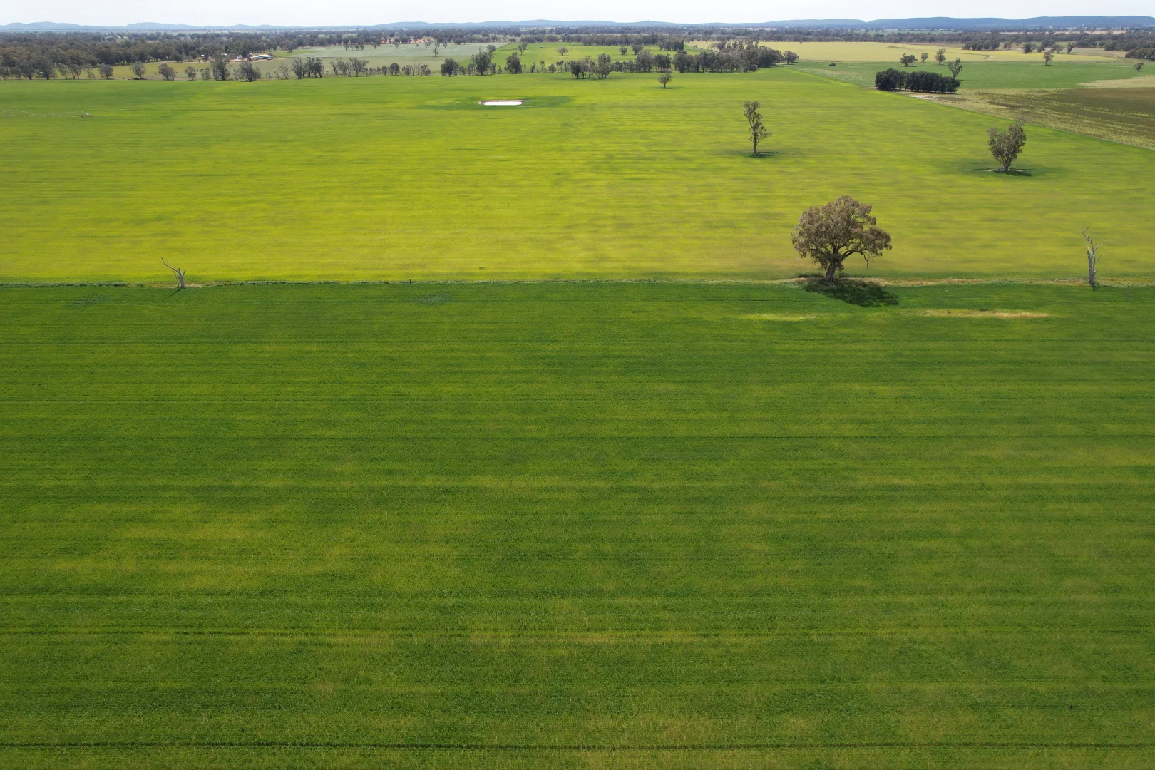 Additional image 12 of 2071 Yarrabandai Road, Bedgerabong NSW 2871