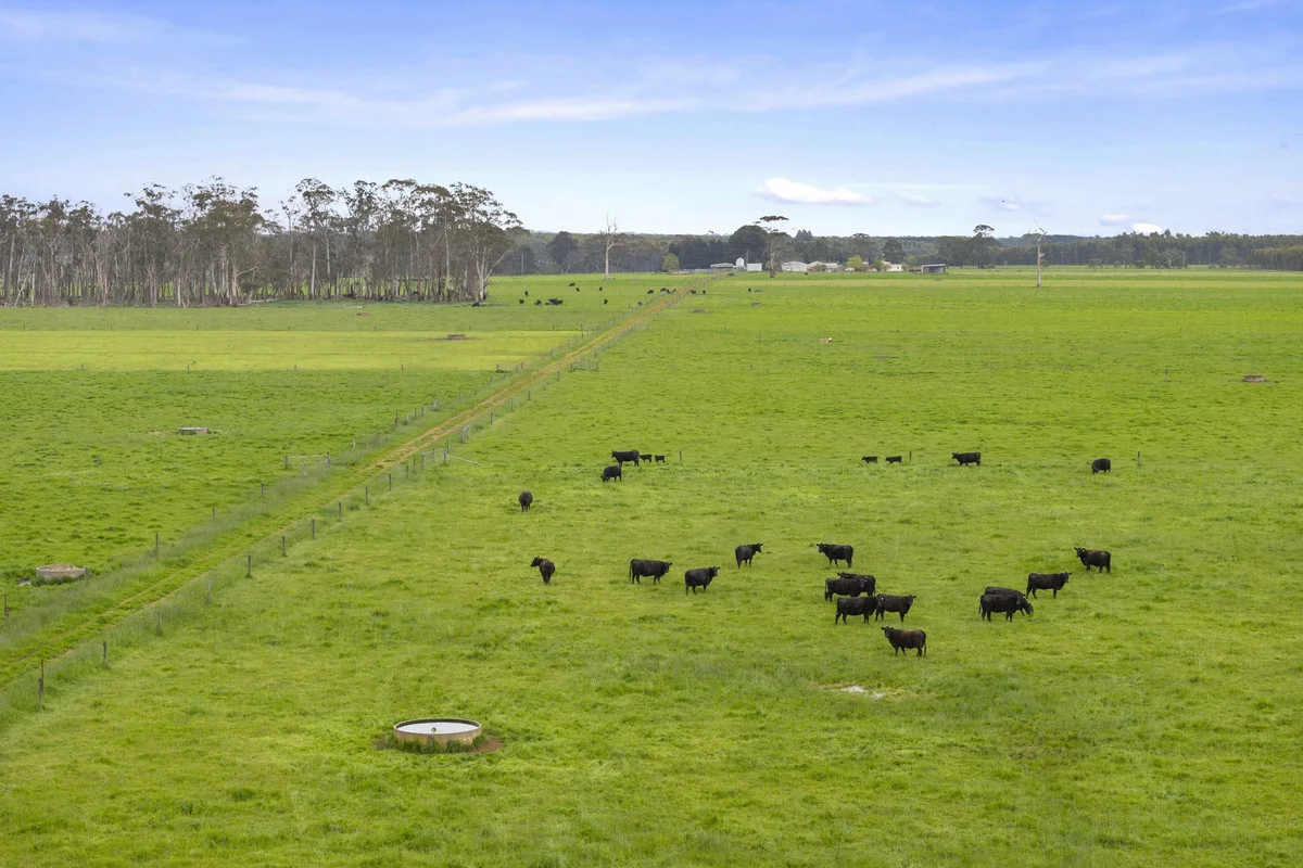 Additional image 23 of 101 Jancourt Forest Road, Carpendeit VIC 3260