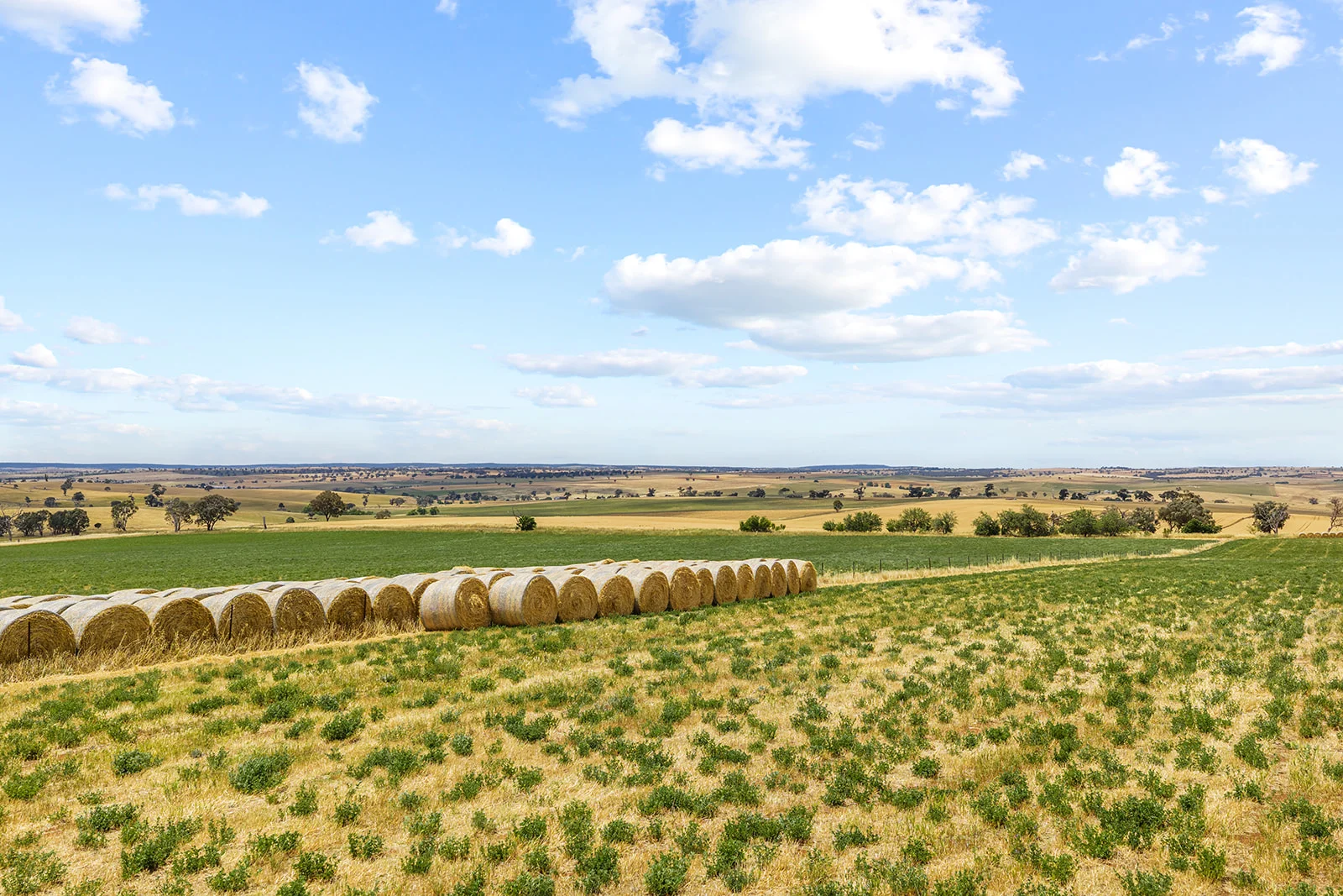 Additional image 2 of 215 Holman Road, Murrumburrah NSW 2587