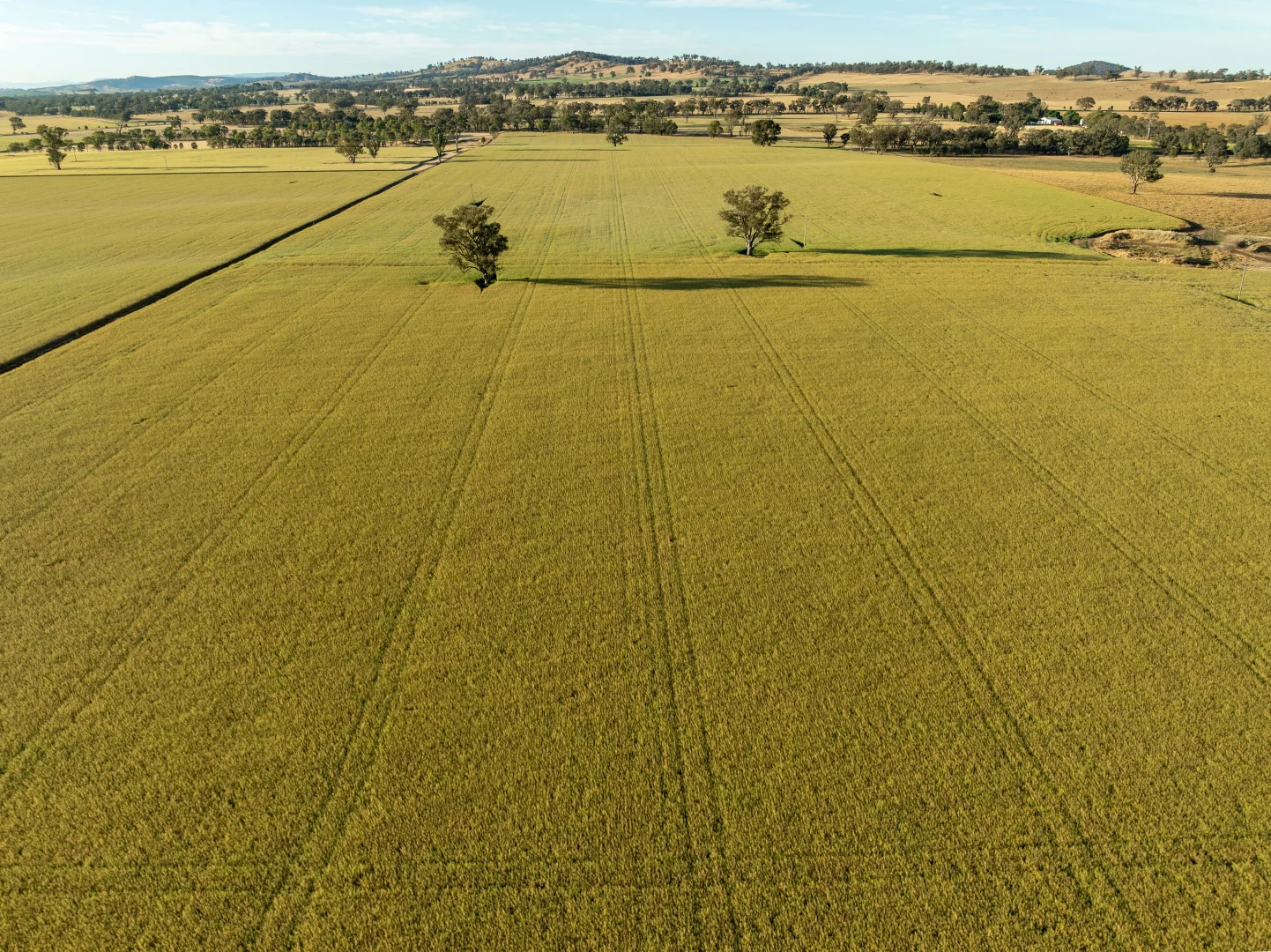 Additional image 10 of 158 Bethel Road, Burrumbuttock NSW 2642