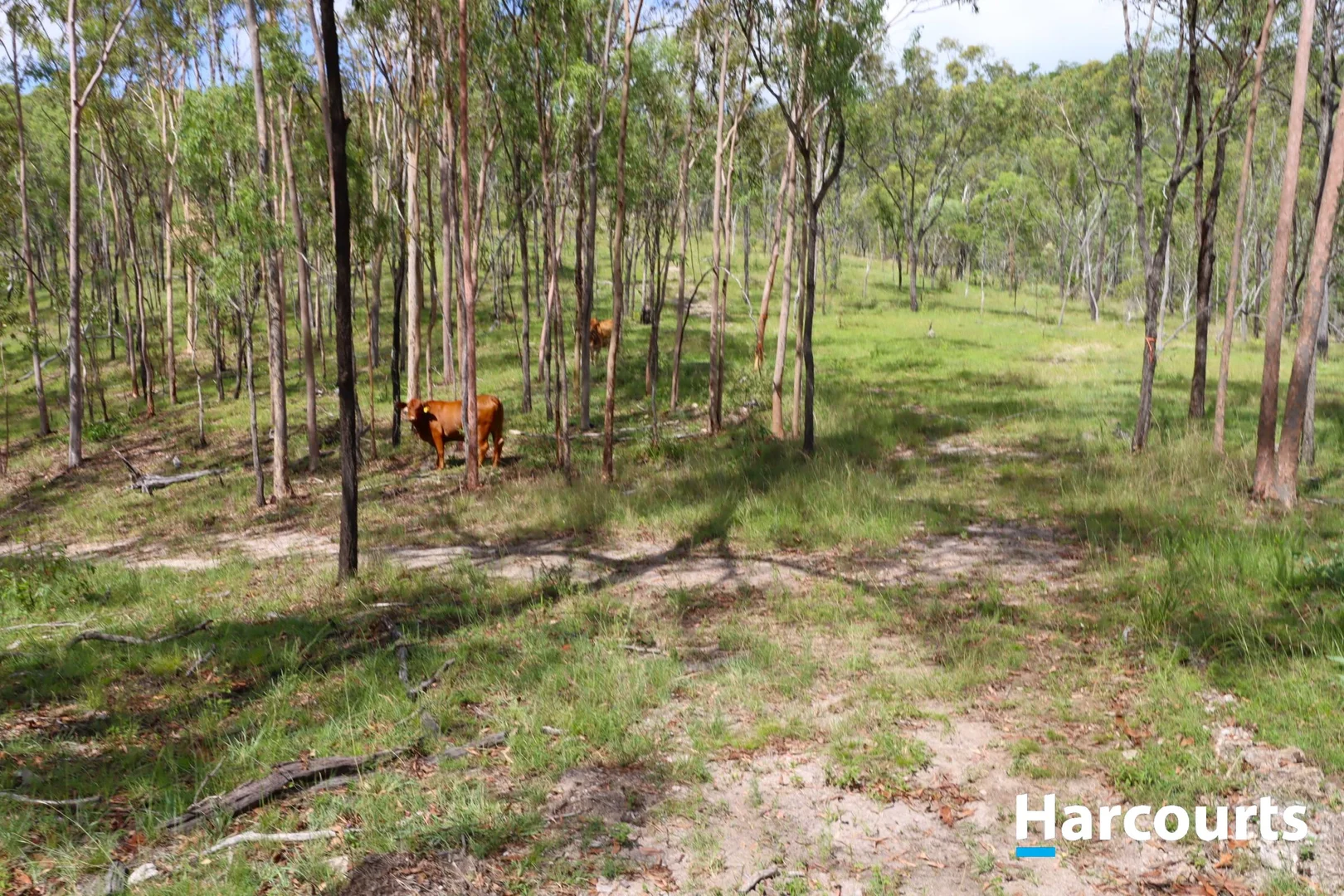 Additional image 28 of 11259 ISIS HIGHWAY, Coalstoun Lakes QLD 4621