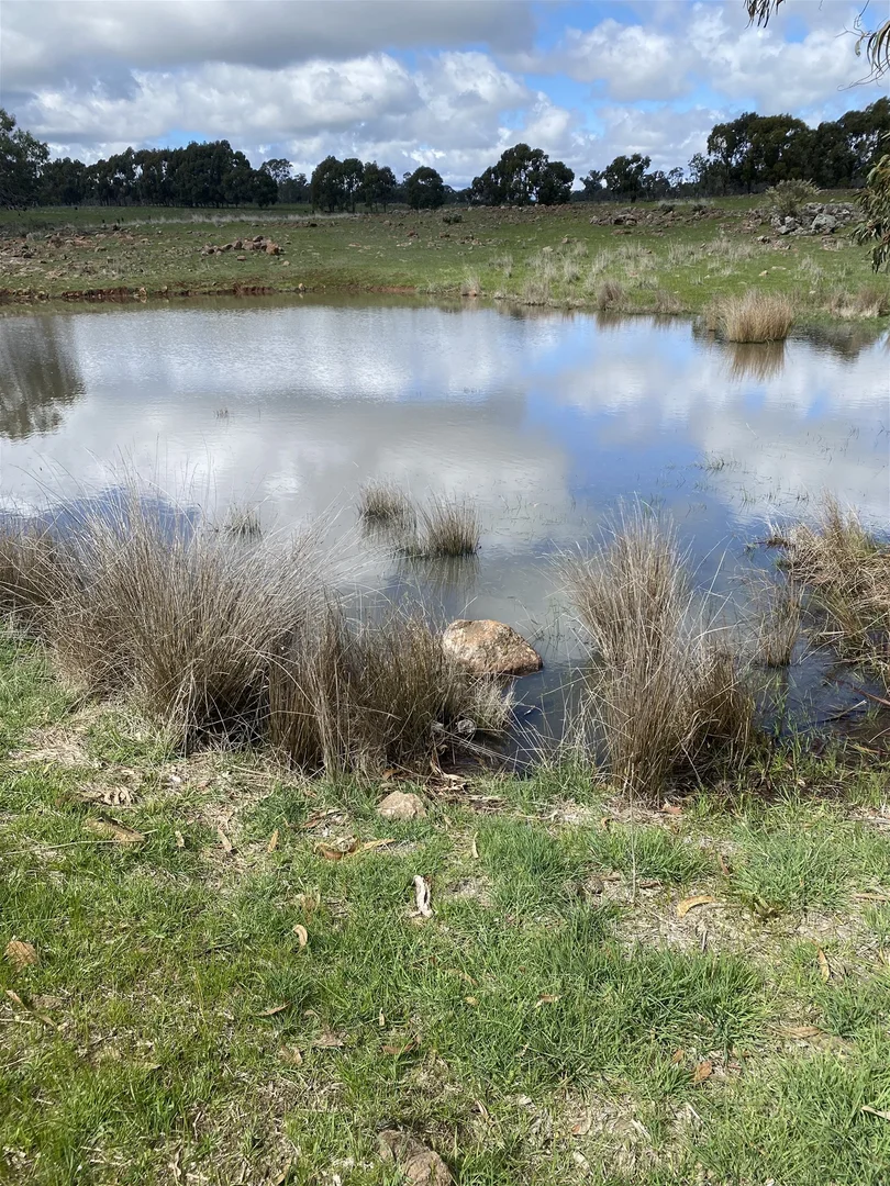 Additional image 17 of Glenhope VIC 3444