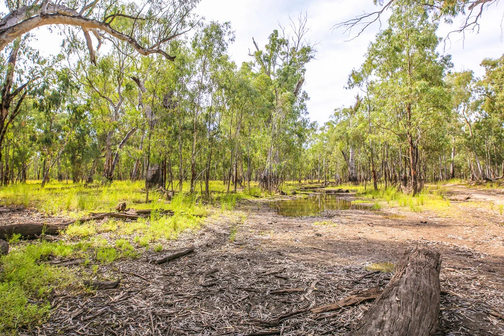 Additional image 8 of Lot 19, 20, 23 & 24 - 650 Yarraman Road, Moama NSW 2731
