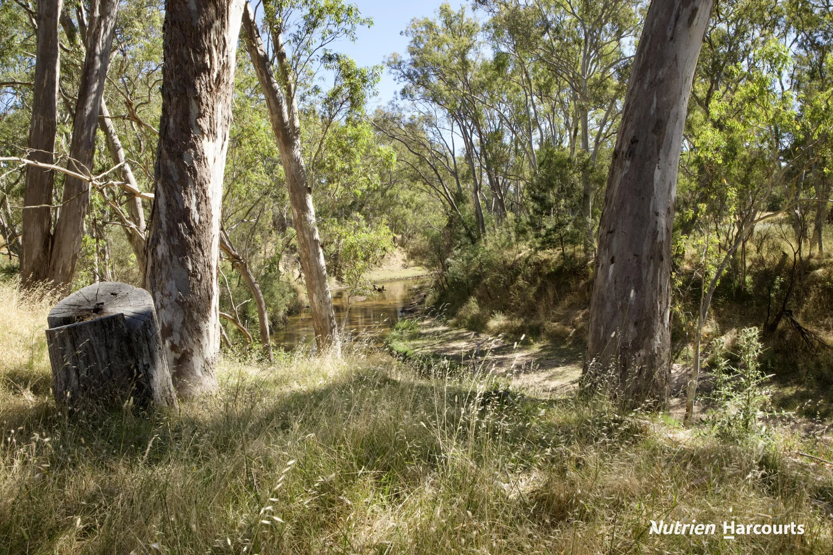 Additional image 22 of 579 Casterton - Dartmoor Road, Bahgallah VIC 3312