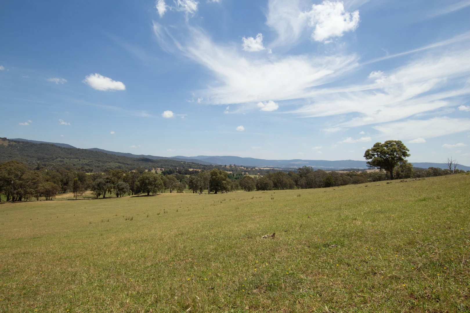 Additional image 13 of 2900 Samaria Road, Samaria VIC 3673