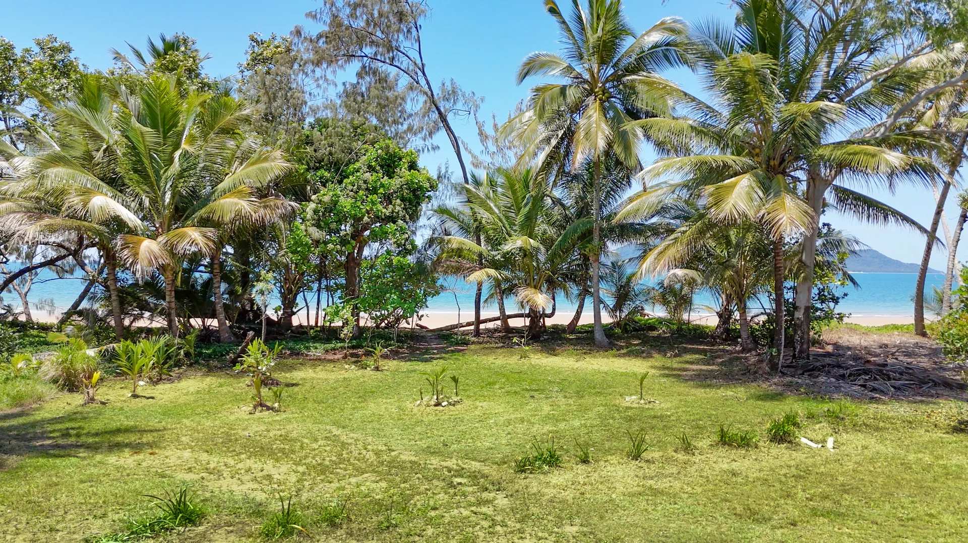 Additional image 13 of 38 Reid Rd, Wongaling Beach QLD 4852